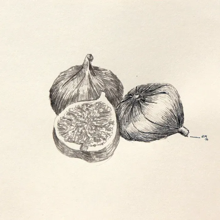 Figues