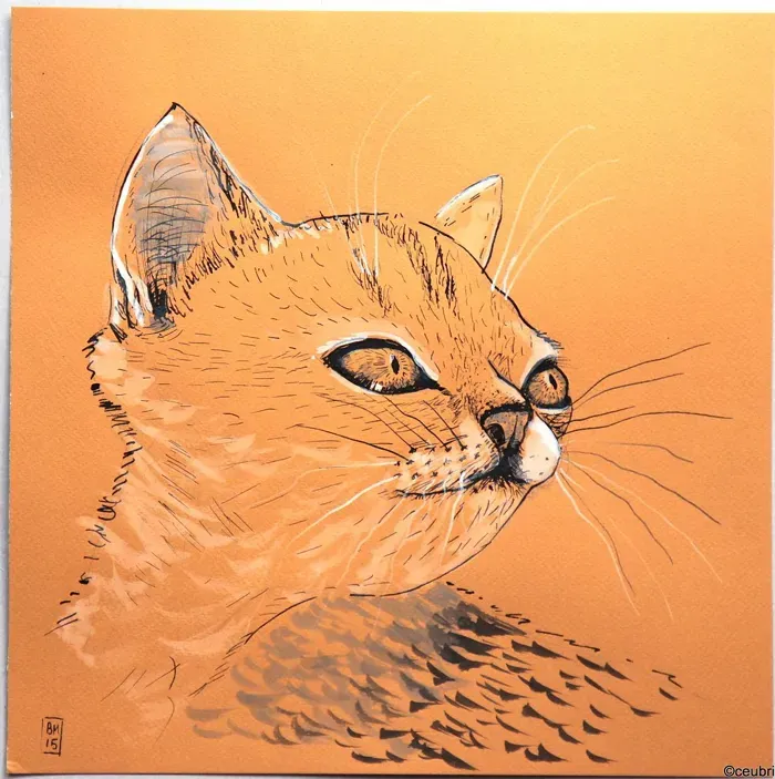 Chat roux