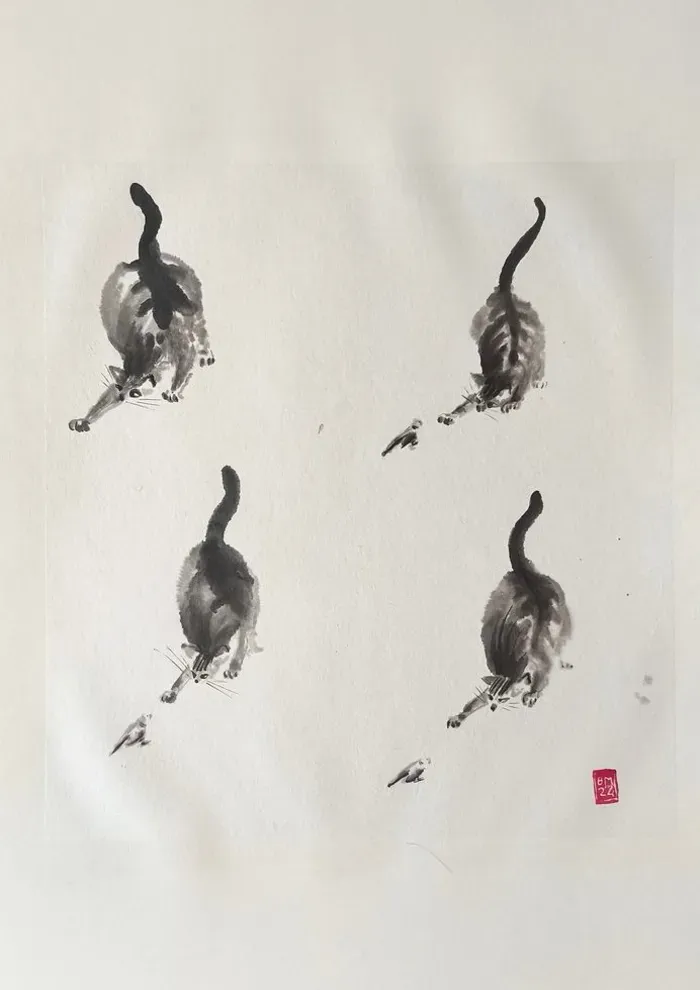 Chats et oiseaux