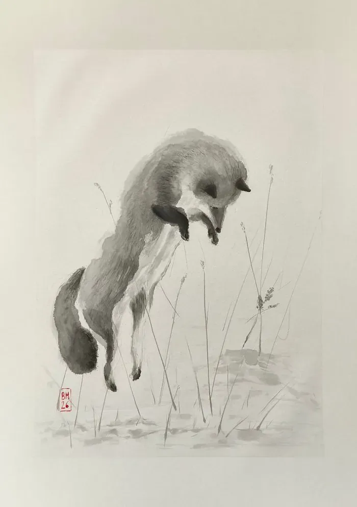 Renard bondissant