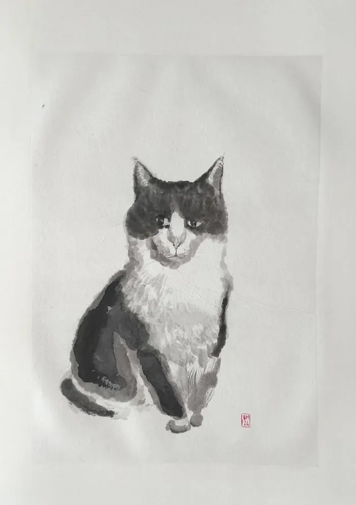 Chat noir et blanc