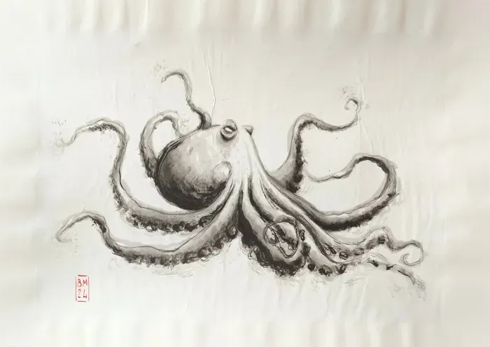 Pieuvre II