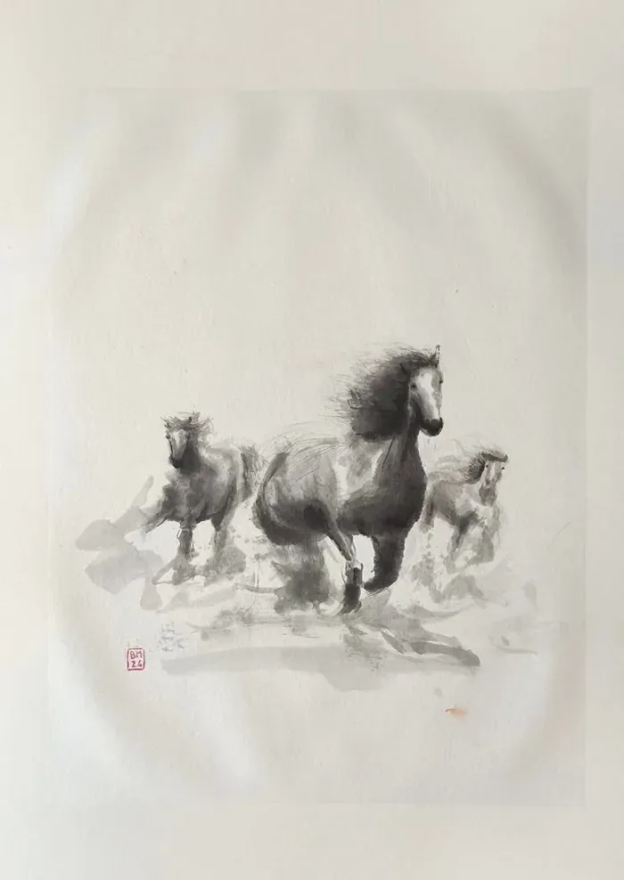 Chevaux au galop