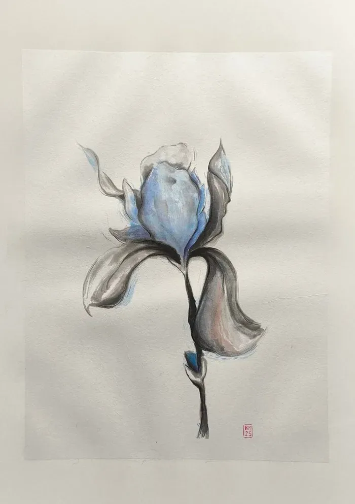 Iris