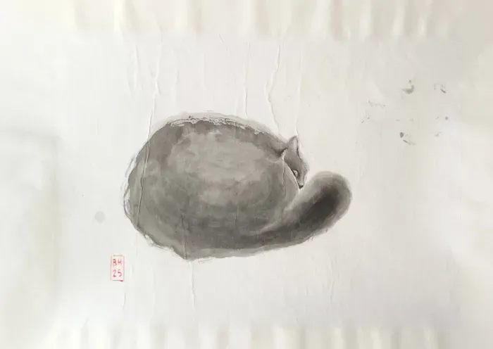 Chat lové