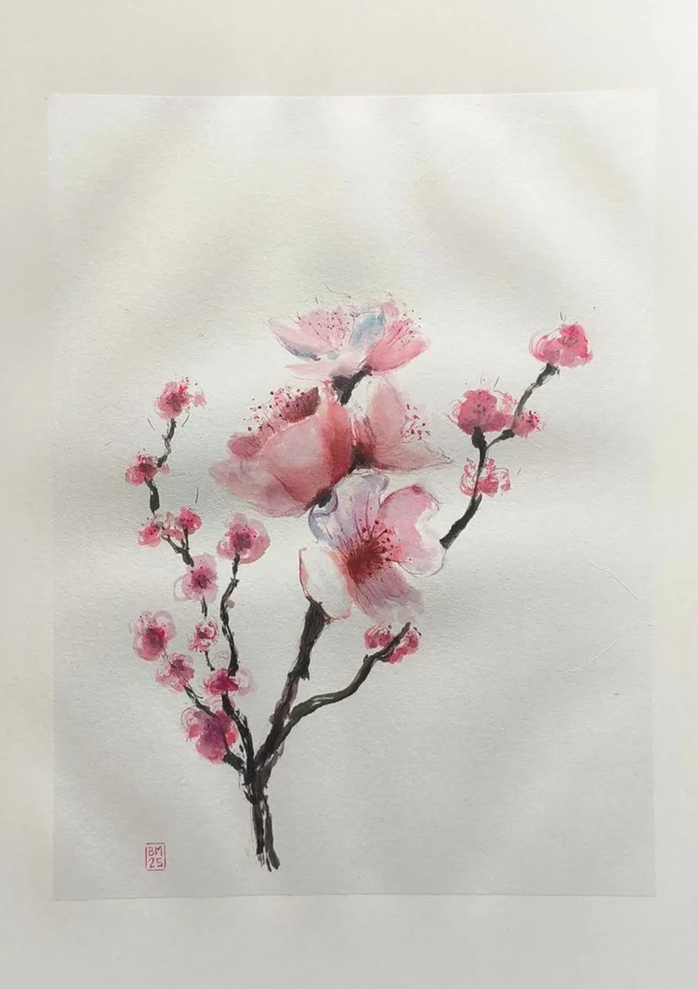 Dessin : Cerisier en fleurs