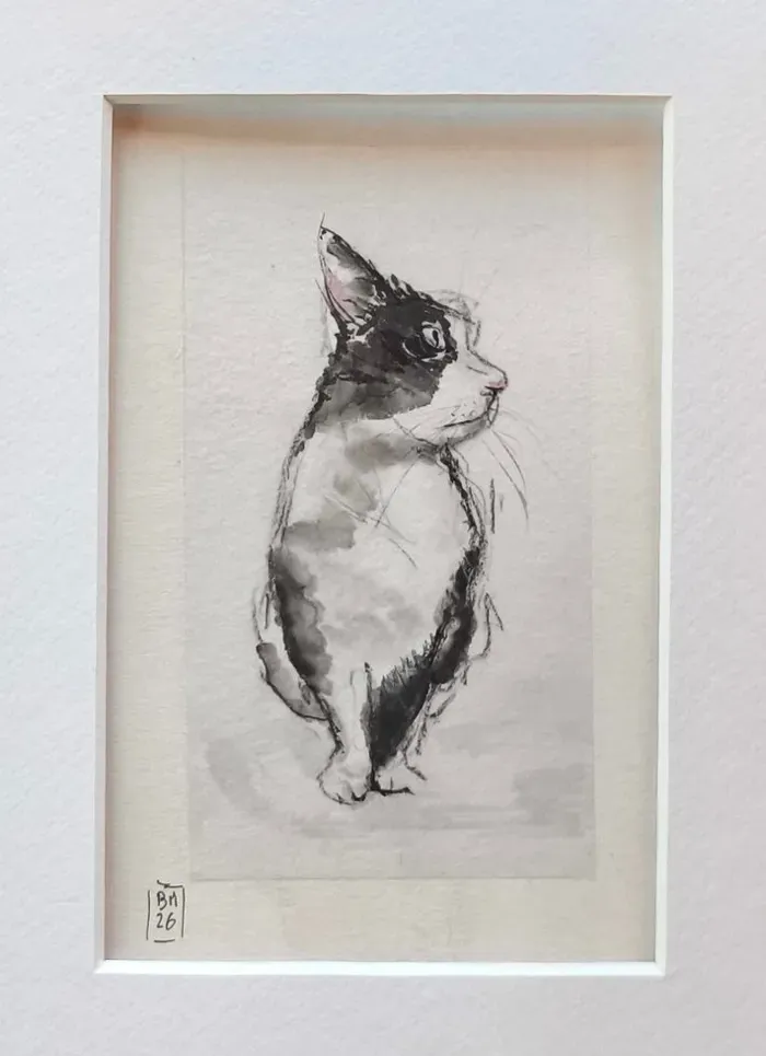Chat noir et blanc II