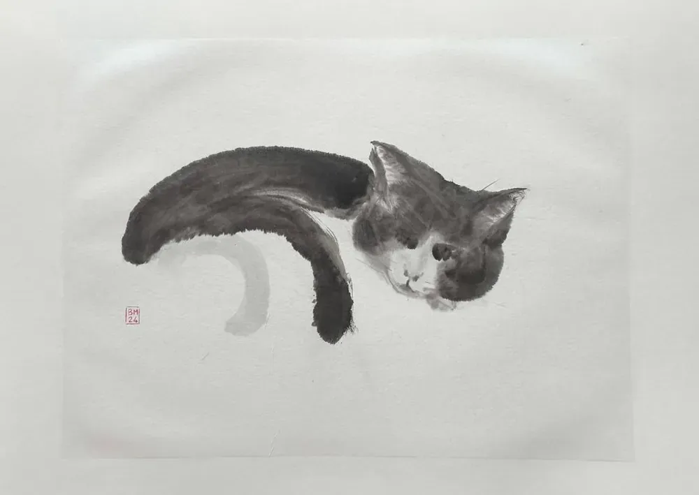 Dessin : Chat endormi