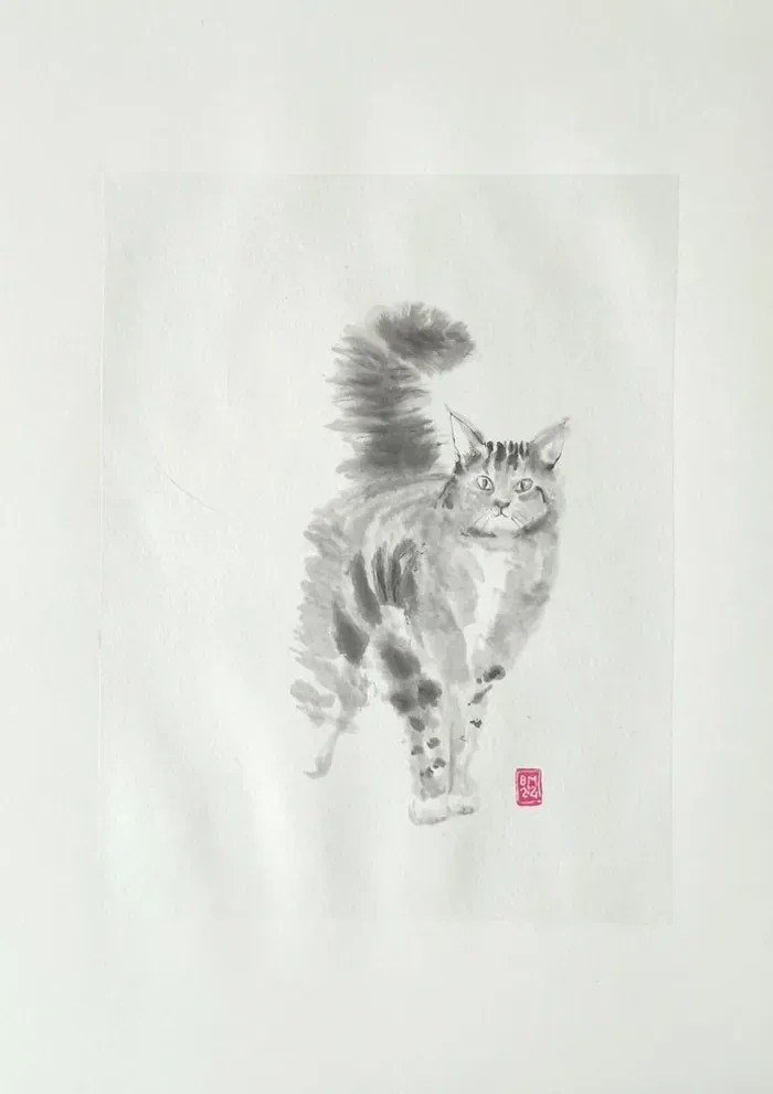 Chat tigré