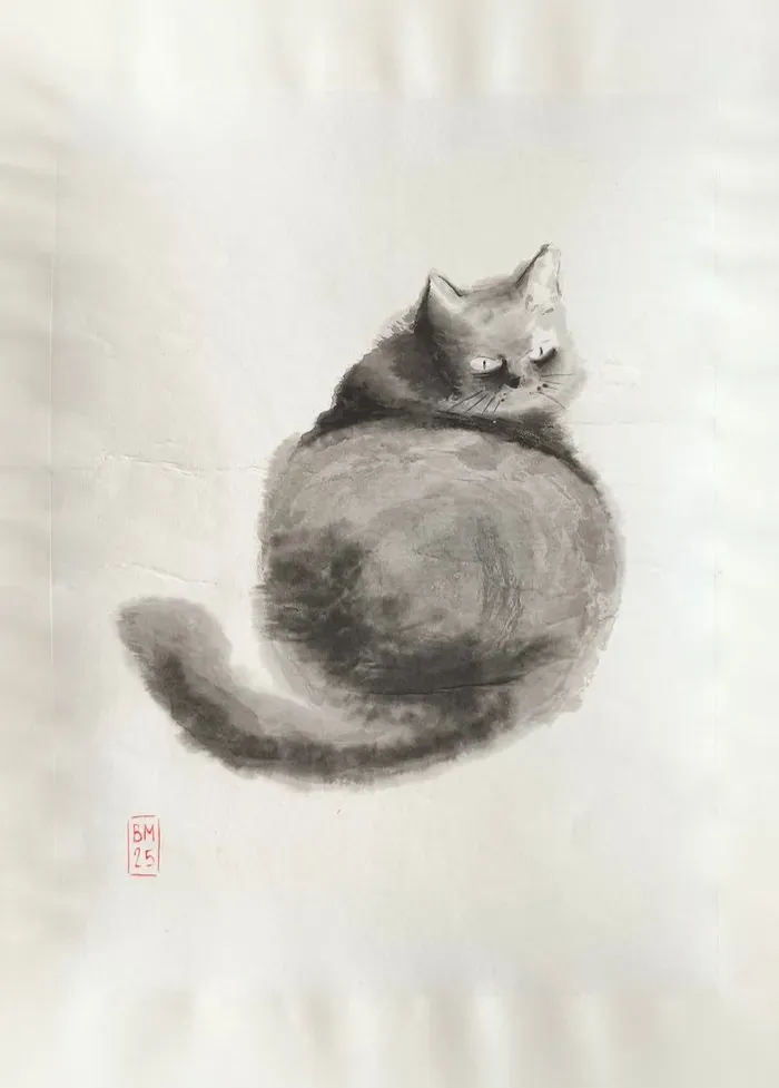 Chat assis