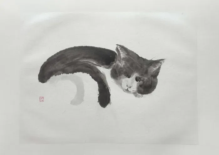 Chat endormi