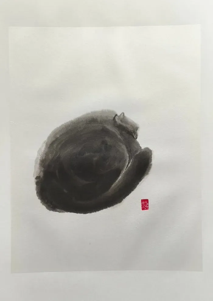 Chat endormi II