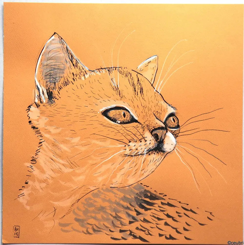 Dessin : Chat roux