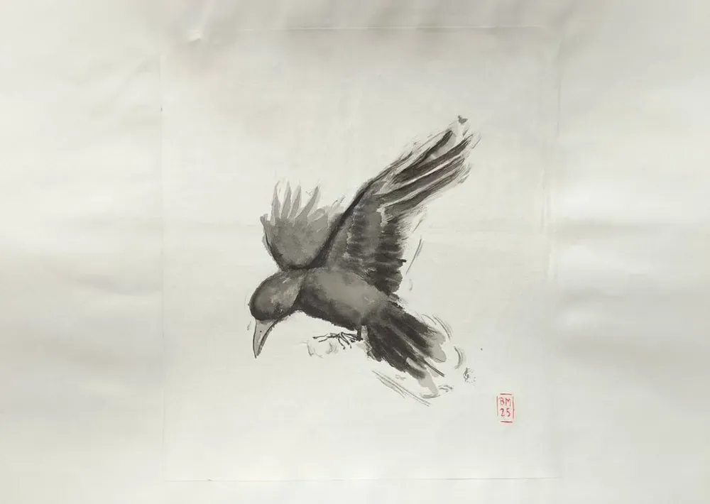 Dessin : Corbeau en vol