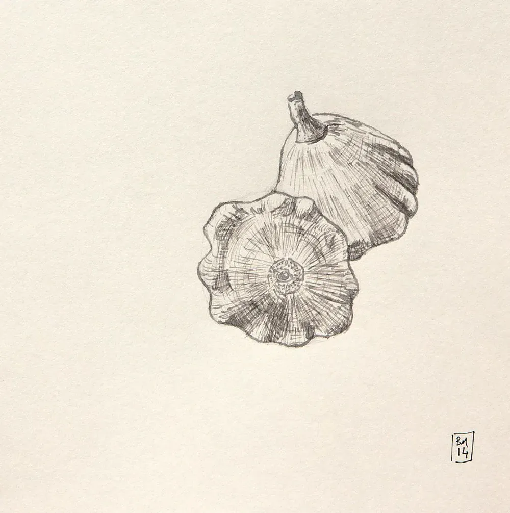 Dessin : Courge