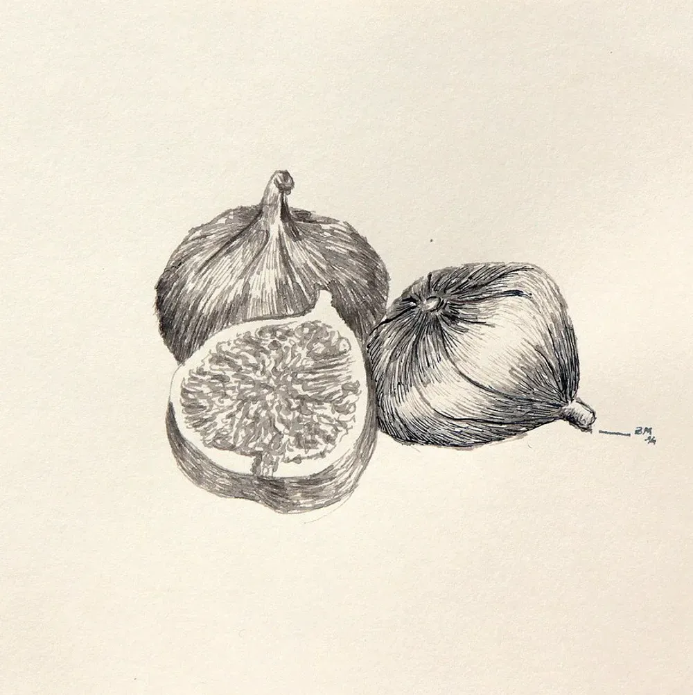 Dessin : Figues