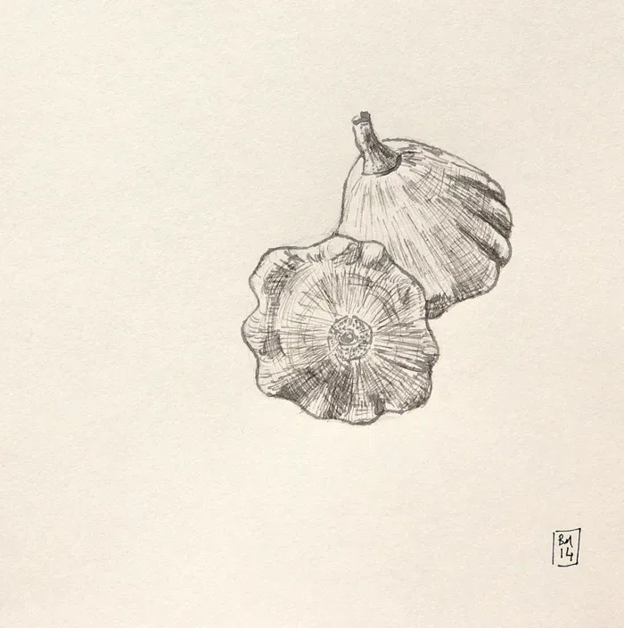 Courge
