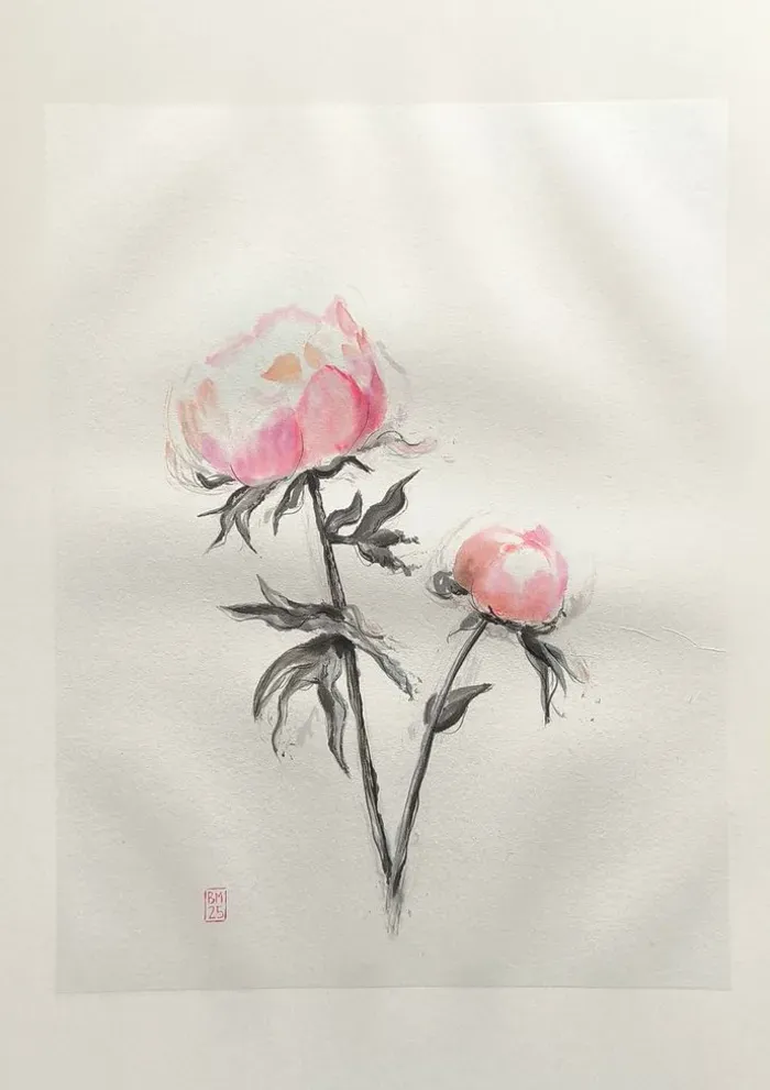 Pivoines