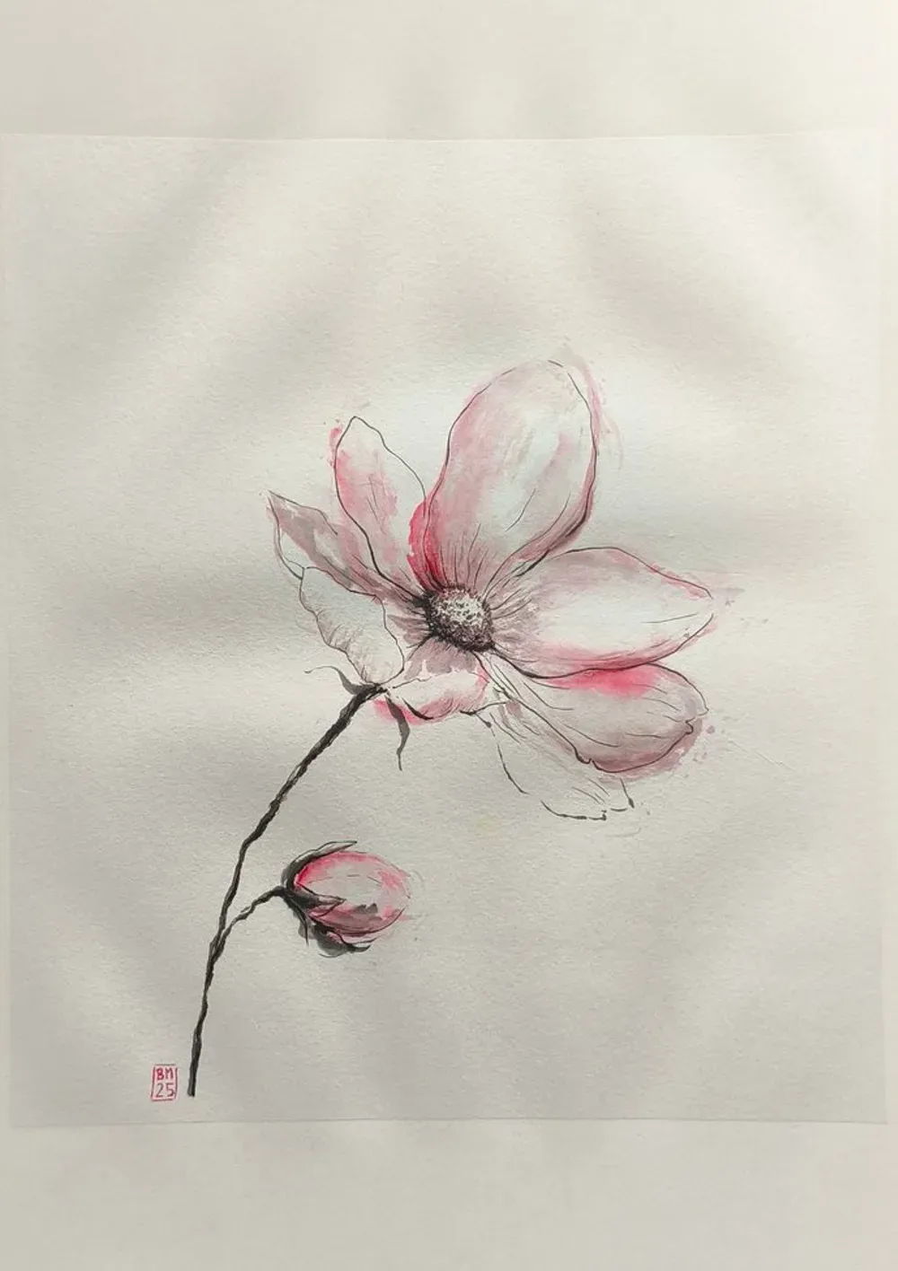 Dessin : Fleur de magnolia