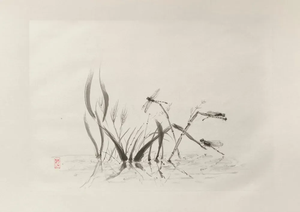 Dessin : Herbes et libellules
