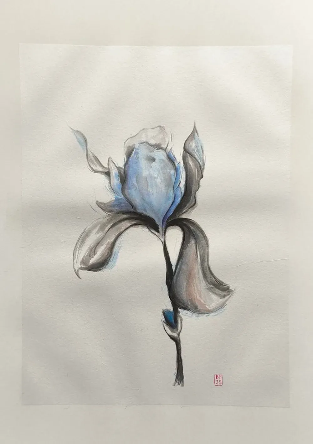 Dessin : Iris