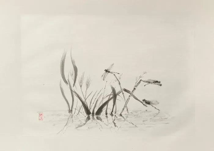 Herbes et libellules