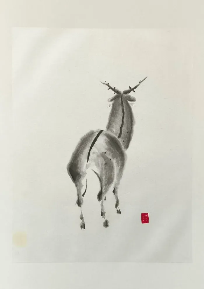 Antilope