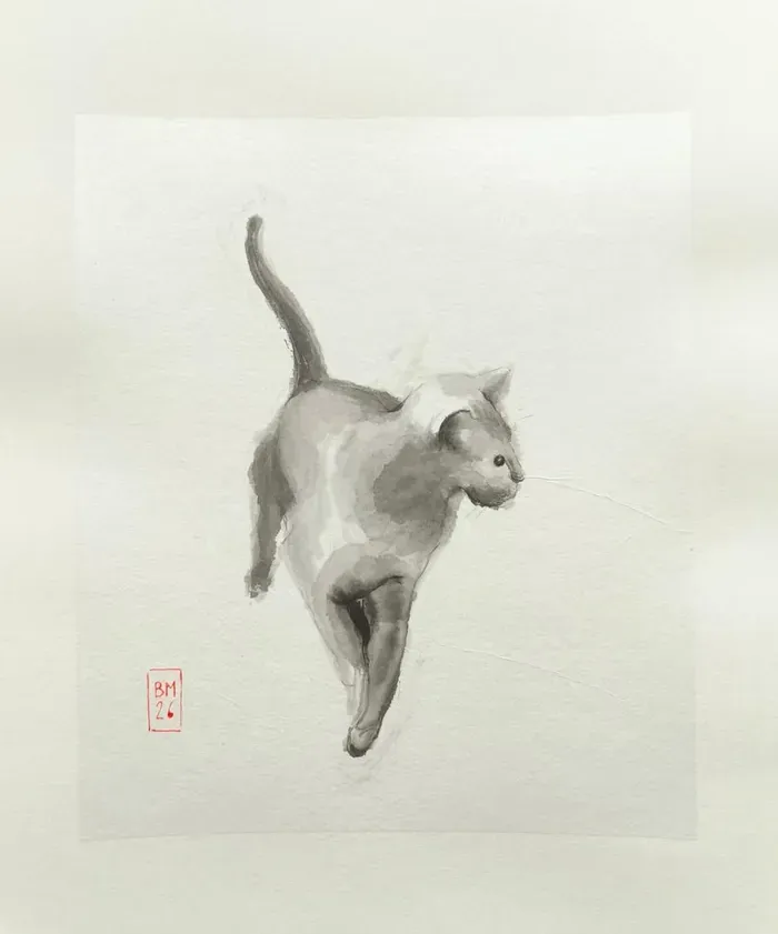 Chat en marche II